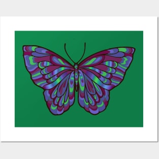 Purple and Blue Butterfly Art Posters and Art